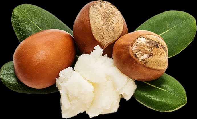 Raw Ghanaian Shea Butter ingredient